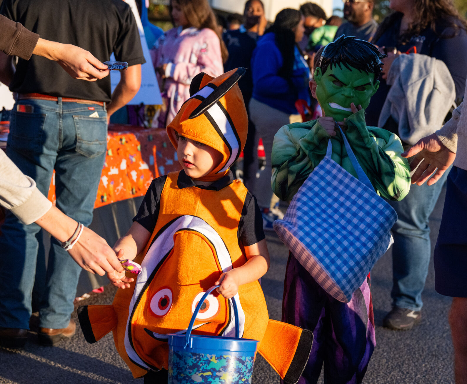 BR.wftrunktreatxtra.102324_7368 MJ.JPG